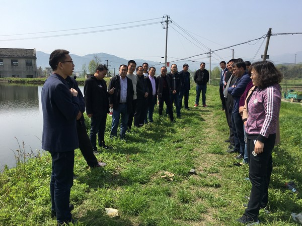 长安镇召开坟墓整治现场调度会1.jpg